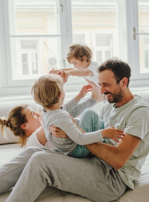 asesoramiento doméstico